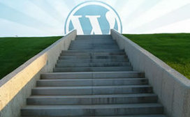 SEO Friendly WordPress in 12 Steps | Marketing Strategy and Business | Scoop.it