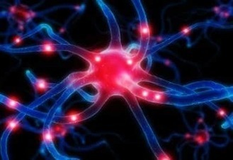 Paura e ansia: individuati i neuroni responsabili | Disturbi d'Ansia, Fobie e Attacchi di Panico a Milano | Scoop.it