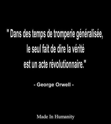 George Orwell a décortiqué tous les ressorts de la dictature | 16s3d: Bestioles, opinions & pétitions | Scoop.it