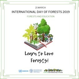 Forestry and Timber&nbsp; - UNECE | Biodiversity, Climate Change, Environment, Conservation, Forestry, Fisheries, Oceans and Coasts | Scoop.it