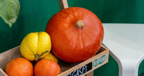Alimentation : ces start-up qui s’attaquent au gaspillage – | Planète DDurable | Scoop.it