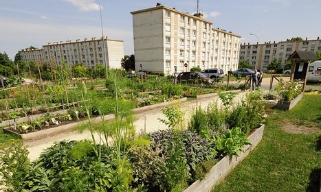Guide "Agir pour les agricultures des aires urbaines" - Plante & Cité | ESPACES VEGETALISES URBAINS | Scoop.it