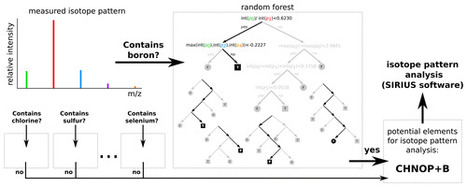 Predicting the Presence of Uncommon Elements in Unknown Biomolecules from Isotope Patterns | Natural Products Chemistry Breaking News | Scoop.it