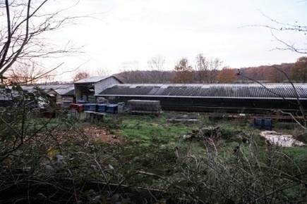 Un premier élevage de visons contaminé par le Covid-19 en France | Toxique, soyons vigilant ! | Scoop.it