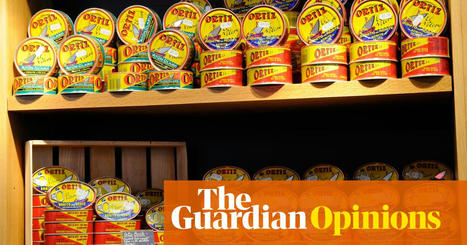 Holy mackerel! How did tinned fish become so popular again? Let me explain | Thea Everett | The Guardian | IB Business Management | Scoop.it