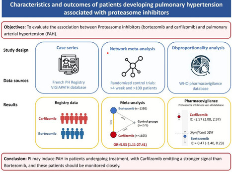 Caractéristiques et pronostic des patients développant une hypertension pulmonaire associée aux inhibiteurs du protéasome | Life Sciences Université Paris-Saclay | Scoop.it