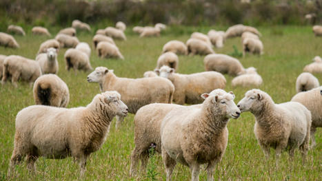 Une belle histoire de partenariat... avec le parc naturel régional de Lorraine | Nancy, Lorraine | Scoop.it