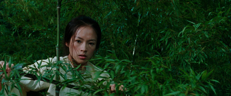 Getting Smart with Story Structure: Crouching Tiger, Hidden Dragon | VideoDrome | Scoop.it