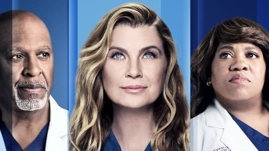 Vostfr Grey S Anatomy 18 16 Saison 18 Streaming Vf Scoop It