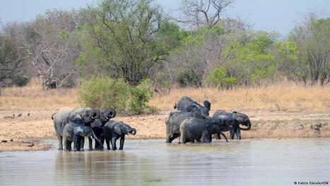AFRICA: When Parks conservation becomes a question of power | AFRIQUES | Scoop.it