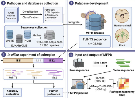 MFPD: A Multiple Fungal Pathogen Detection Pipeline Across Diverse Habitats | advS | RMH | Scoop.it