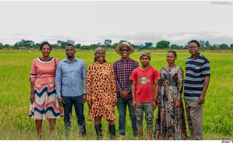 TANZANIA: Social Capital proves critical to success of System of Rice Intensification (SRI) farming in Tanzania | SRI Global News: Nov. 2023 - Jan. 2024 **sririce.org -- System of Rice Intensification | Scoop.it