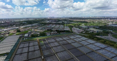 London neighbourhood stinks so badly of 'eggs and sewage' that locals can't sleep | Metro News | Operation Deimos | Scoop.it