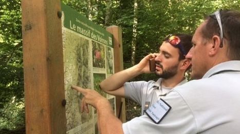 En Haute-Savoie, les quads et autres v&eacute;hicules tout-terrain se multiplient dans des espaces naturels prot&eacute;g&eacute;s | Biodiversit&eacute; | Scoop.it