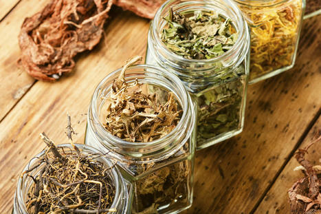 Herbal Therapy for Small Intestinal Bacterial Overgrowth in the Chiropractic Setting | Call: 915-850-0900 or 915-412-6677 | Healthy Foods | Scoop.it