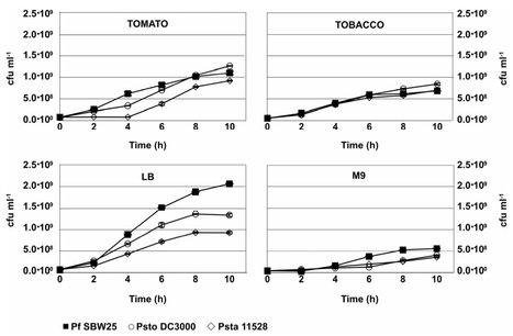 MPMI: Pseudomonas syringae pv. tomato DC3000 Uses Constitutive and Apoplast-Induced Nutrient Assimilation Pathways to Catabolize Nutrients That Are Abundant in the Tomato Apoplast (2008) | Plants and Microbes | Scoop.it