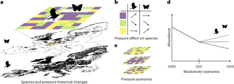 Predicted decline in common bird and butterfly species even under conservation policy scenarios in Europe - Nature Ecology & Evolution | Biodiversit&eacute; | Scoop.it