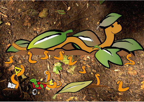 Différence entre un ver de compost et un lombric ? | Les Colocs du jardin | Scoop.it