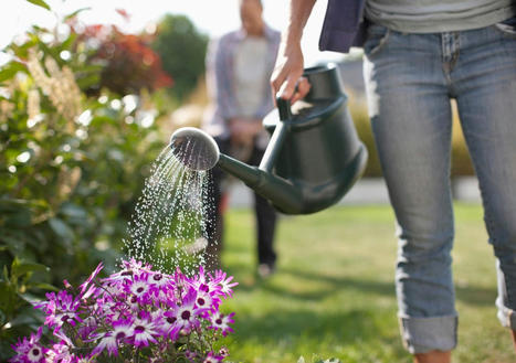 20 Rules for Watering Plants (So That You Don't Lose Them) | Best Backyard Patio Garden Scoops | Scoop.it