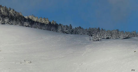 Traces hivernales en Aure | Vallées d'Aure & Louron - Pyrénées | Scoop.it