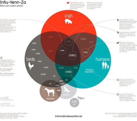 Who can catch which flu? | Virology News | Scoop.it