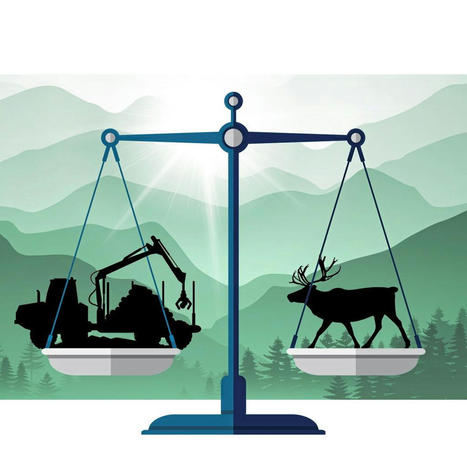 Les tribunaux à la rescousse de la biodiversité | Actualités | Le Quotidien - Chicoutimi | Ils parlent de nous ! | Scoop.it