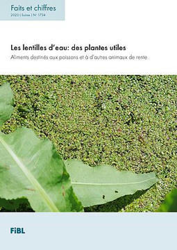 AGRICULTURE : Lentilles d&rsquo;eau : inconnues mais d&rsquo;innombrables possibilit&eacute;s ? - Bio-actualit&eacute;s | CIHEAM Press Review | Scoop.it