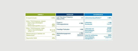 ANDRITZ erhält „Gold“ von EcoVadis und setzt neue ESG-Ziele | Erfolgsgeschichten von EcoVadis Kunden | Scoop.it