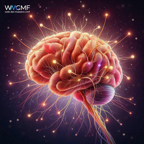 ¿Cómo aprende el cerebro y cómo deberían enseñar los docentes? - 2025 | Education 2.0 & 3.0 | Scoop.it