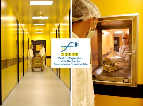 FOCUS PLATEFORME : Le Centre d&rsquo;Exploration et de Recherche Fonctionnelle Exp&eacute;rimentale (CERFE), une plateforme &laquo; in vivo &raquo; originale ! | Life Sciences Universit&eacute; Paris-Saclay | Scoop.it