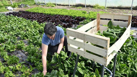 Les Journées nationales de l’agriculture, du 6 au 9 juin, pour rapprocher citoyen et monde agricole - Ouest France | Agriculture et communication positive | Scoop.it