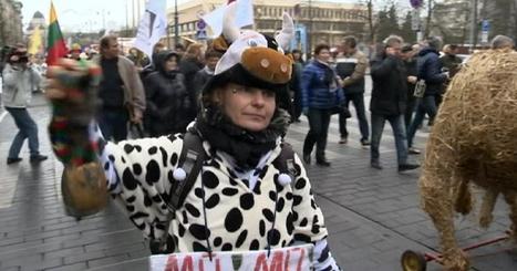 Manifestation des producteurs de lait en Lituanie | Lait de Normandie... et d'ailleurs | Scoop.it