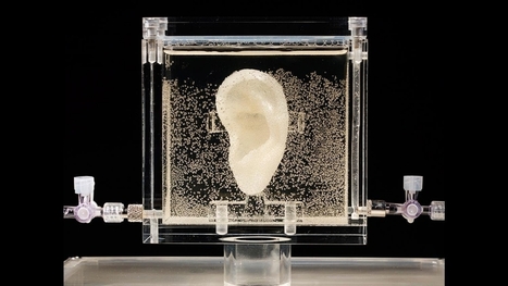 3D Bioprinting Regenerates Vincent van Gogh's Severed Ear from Relative's DNA | Genetic Engineering Publications - GEG Tech top picks | Scoop.it