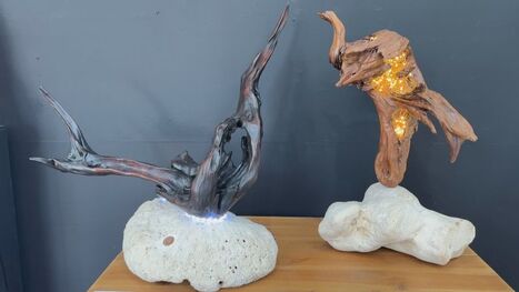 Des morceaux de bois attaqués par des termites transformés en œuvres d'art par Rémond Croissant | Variétés entomologiques | Scoop.it