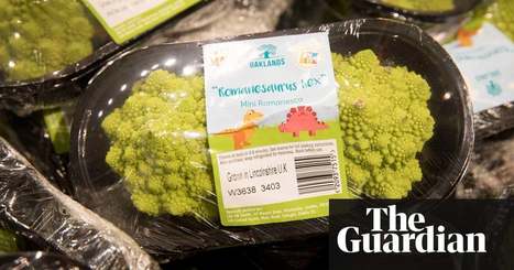 Lidl to stop using black plastic fruit and vegetable packaging | Environment | The Guardian | Microeconomics: IB Economics | Scoop.it