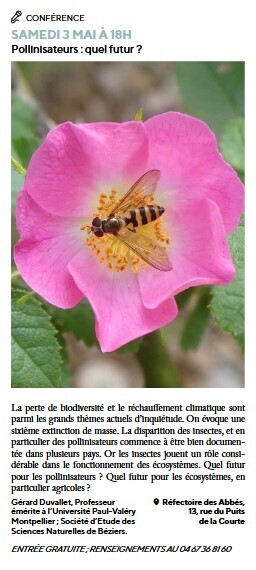 [Entomo-Calendrier] Conférence Pollinisateurs : quel futur ? à Béziers, le 3 mai 2025 | Variétés entomologiques | Scoop.it