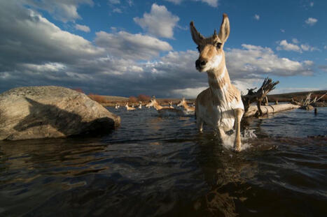 Joe Riis - The Photo Society | Digital Photography | Scoop.it