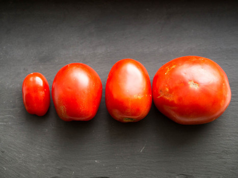 How to Make the Best Tomato Sauce From Fresh Tomatoes | La Cucina Italiana - De Italiaanse Keuken - The Italian Kitchen | Scoop.it