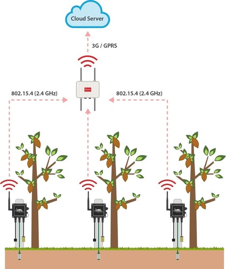 Sustainable Farming and the IoT: Cocoa Research Station in Indonesia | Libelium | Smart Cities & The Internet of Things (IoT) | Scoop.it