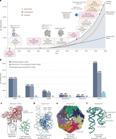 Integrated experimental and AI innovations for RNA structure determination | Nbt | RMH | Scoop.it