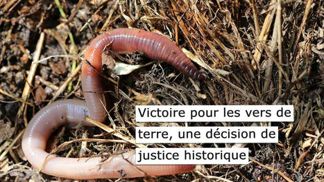 Victoire pour les vers de terre : une décision de justice historique | Paysage - Agriculture | Scoop.it