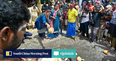 FOOD: Coconut price surge a chance to aid Southeast Asia’s small farmers | ALIMENTATIONS | Scoop.it
