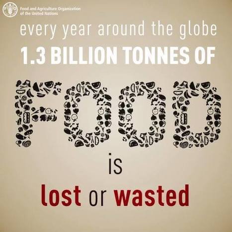 Did you know? 45% of all the fruits and... - Food and Agriculture Organization of the United Nations (FAO) | Facebook | Year 9 Geography - Sustainable Biomes | Scoop.it