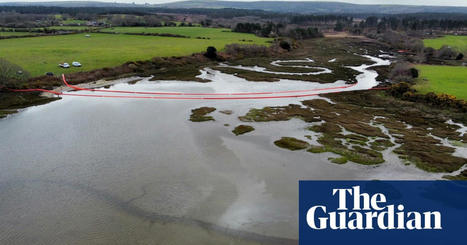 Calls for answers over Poole harbour oil spill as cleanup continues | Poole | The Guardian | Agents of Behemoth | Scoop.it