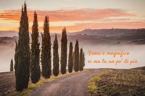 Magnifico - Fedez | Ciao tutti, Ontdek Itali&euml; | Italian Entertainment And More | Scoop.it