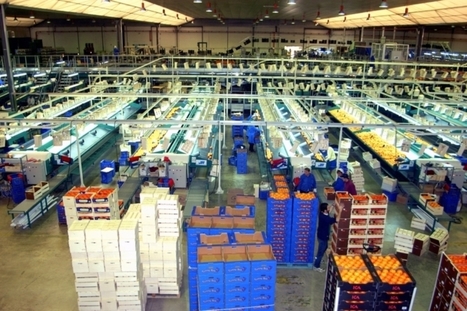 Concluye la consulta pública de la CE sobre la mejora de la cadena alimentaria | Evaluación de Políticas Públicas - Actualidad y noticias | Scoop.it