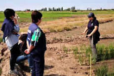 CHILE: The System of Rice Intensification (SRI) in Chile&nbsp;&nbsp;&nbsp; &nbsp; &nbsp; --SRI-Rice Website | SRI Global News ++ June - September 2025    System of Rice Intensification (SRI) | Scoop.it