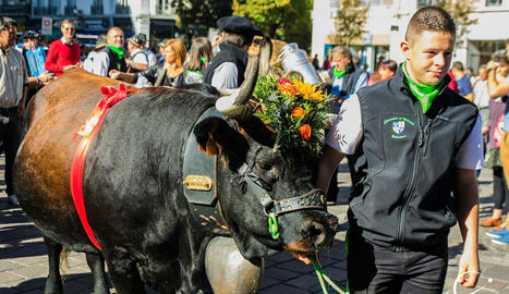 Descente des alpages à Grenoble | made in isere - 7 en 38 | Scoop.it