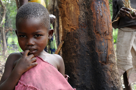 RD Congo : Un investissement dans le domaine de la nutrition serait très rentable | Questions de développement ... | Scoop.it