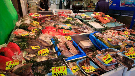 JAPAN: resumes seafood exports to China 2 years after Fukushima wastewater release | ASIES | Scoop.it